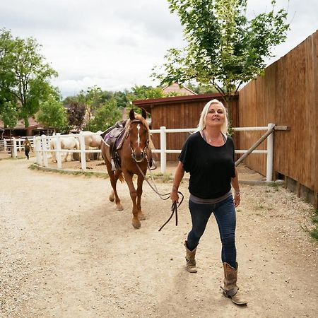 Ranchzimmer Am Hippo-Campus Reit- Und Therapiezentrum Deutsch Haslau Dış mekan fotoğraf