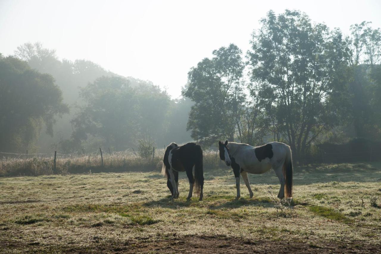Ranchzimmer Am Hippo-Campus Reit- Und Therapiezentrum Deutsch Haslau Dış mekan fotoğraf