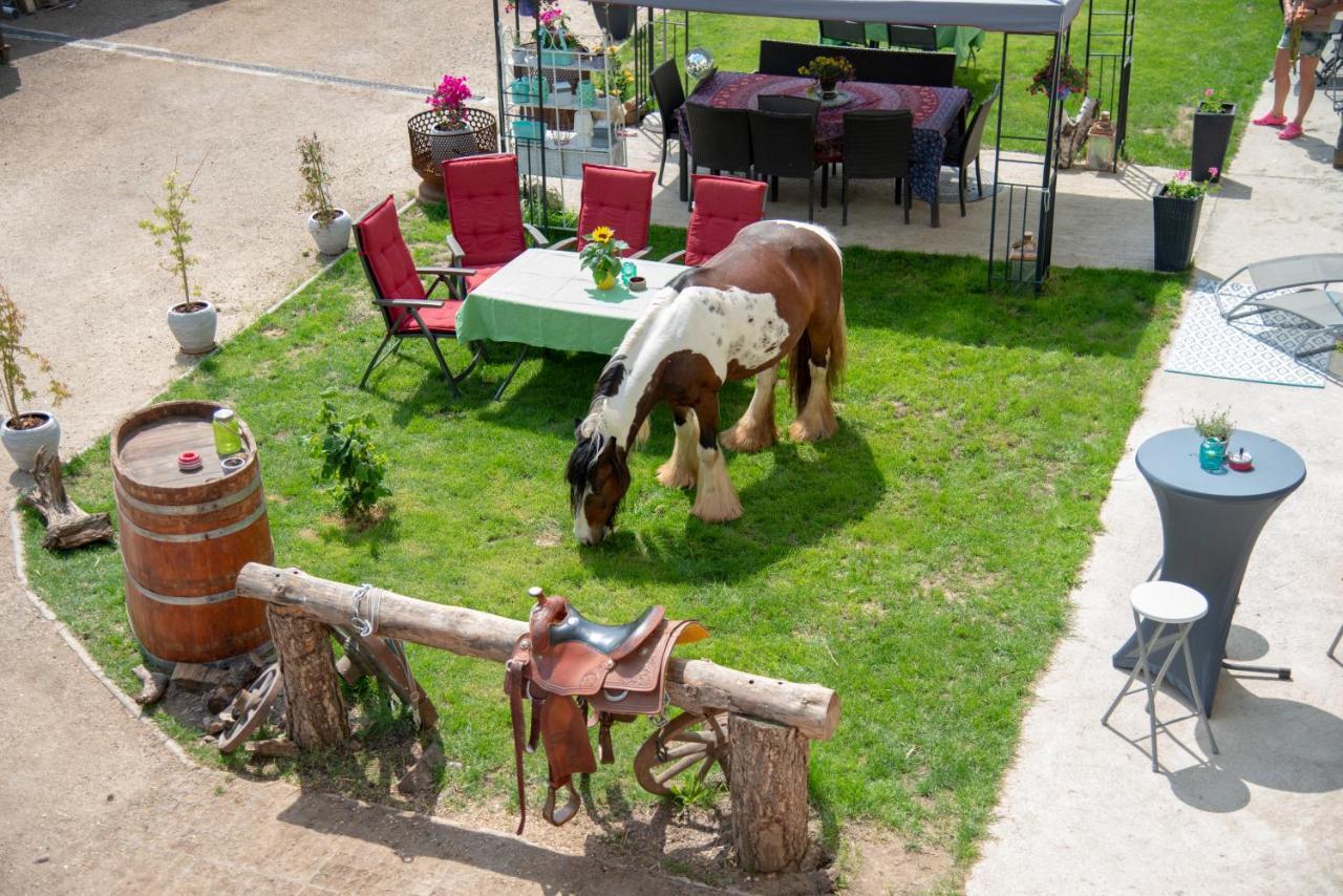 Ranchzimmer Am Hippo-Campus Reit- Und Therapiezentrum Deutsch Haslau Dış mekan fotoğraf