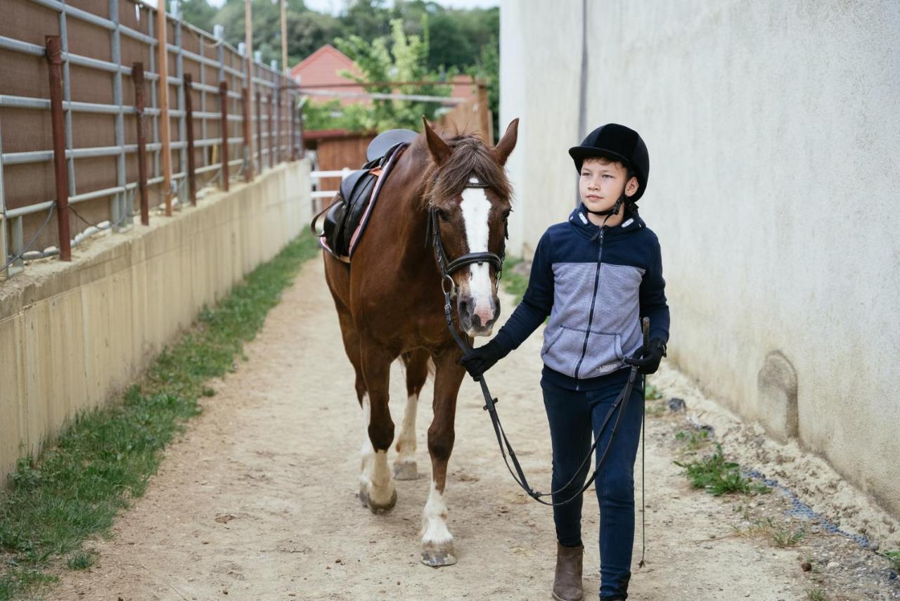 Ranchzimmer Am Hippo-Campus Reit- Und Therapiezentrum Deutsch Haslau Dış mekan fotoğraf